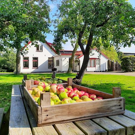 De Vrijheid-Plantage Apartman De Cocksdorp  Kültér fotó